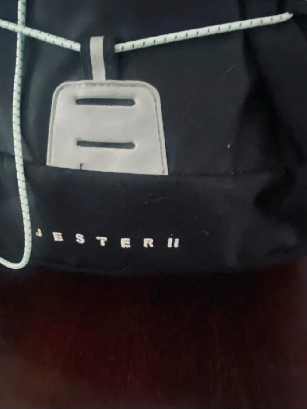 The North Face Black Backpack with Mint Accent Bungee Jester ll